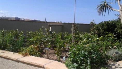 Hebasca Herb Garden Bude