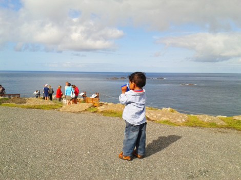 Land's End, Cornwall, 2013