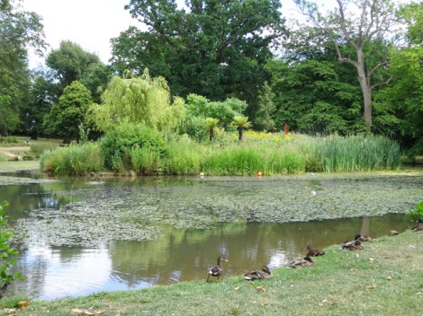 Herschel Park - Slough, Berkshire