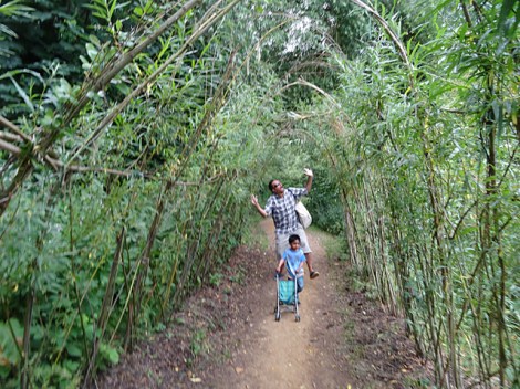 Herschel Park Nature Reserve, Slough, Berkshire