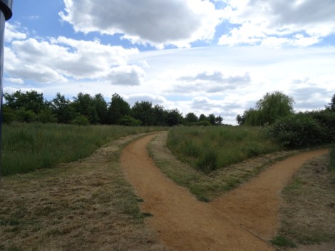 Herschel Park Nature Reserve, Slough, Berkshire