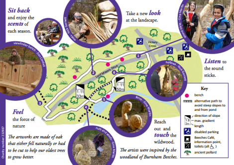 Burnham Beeches Sensory Trail
