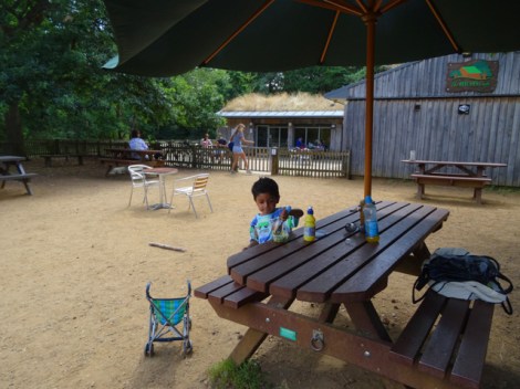 Burnham Beeches, Slough, Berkshire