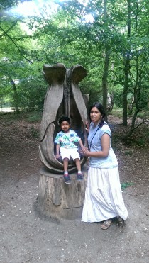 Burnham Beeches, Slough, Berkshire