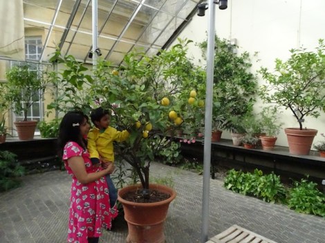 Oxford Botanic Gardens