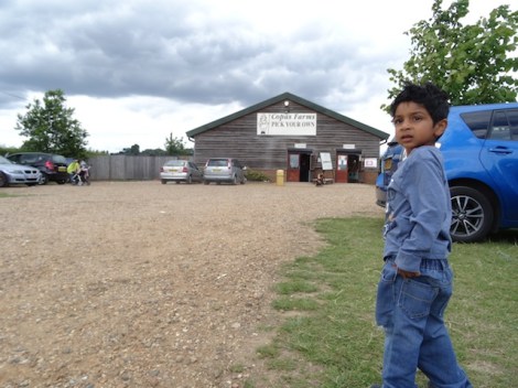 Copas Farm Iver : Slough it's not so bad