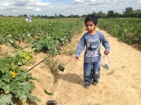 Copas Farm Iver : Slough it's not so bad