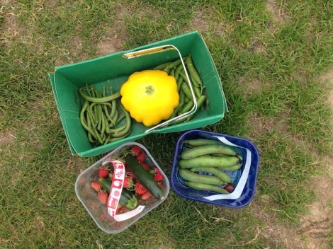 Copas Farm - Iver : Slough it's not so bad