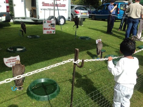 Slough Canal Festival 2015-9