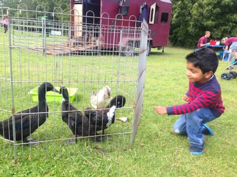 Slough Canal Festival 2015