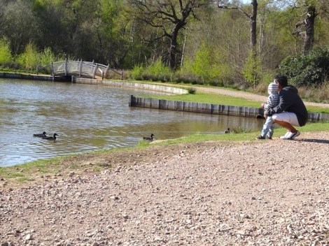 11150335_10152669294351364_8949810387425092833_n