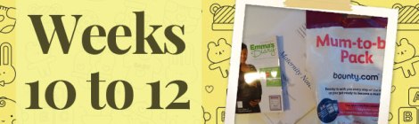 Pregnancy---First-Trimester---Week-10-11-12