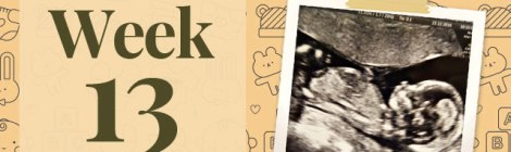 Pregnancy-Second-Trimester-Week-13