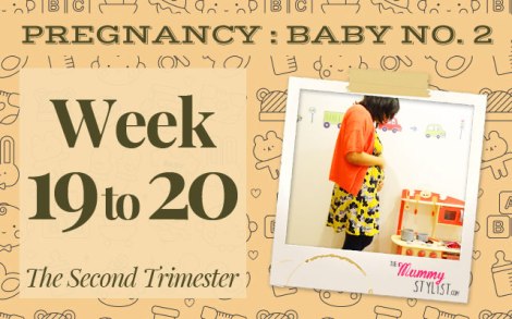 Pregnancy-Second-Trimester-Week-19-20