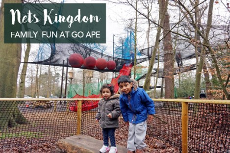 nets-kingdom-go-ape-black-park-slough-berkshire-family-1