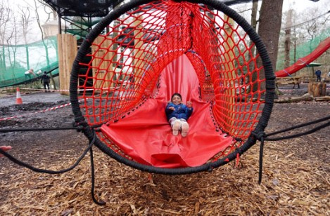 nets-kingdom-go-ape-black-park-slough-berkshire-family-3