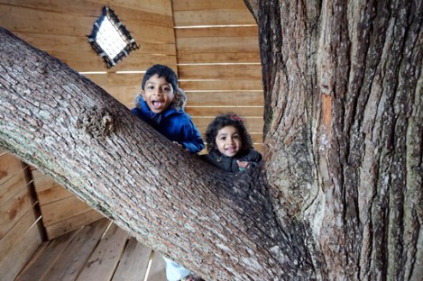 nets-kingdom-go-ape-black-park-slough-berkshire-family-7