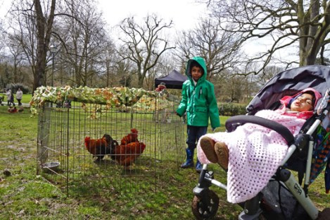 xplorer-trail-challenge-slough-herschel-park-berkshire-2