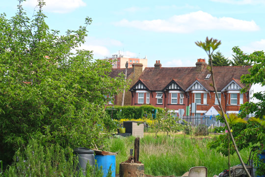 slough_allotments_gardening_outdoors_berkshire-3
