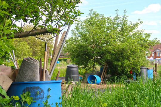 slough_allotments_gardening_outdoors_berkshire-4