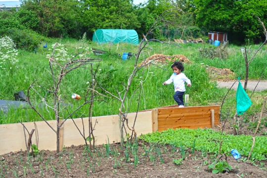 slough_allotments_gardening_outdoors_berkshire-6