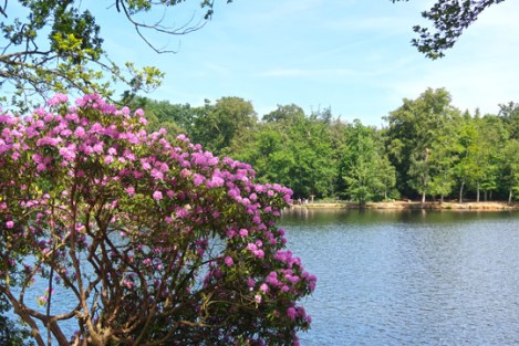 black_park_slough_berkshire_buckinghamshire_toddler-5