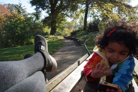 herschel-park-slough-10