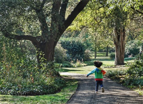 herschel-park-slough-11