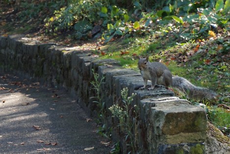 herschel-park-slough-13