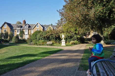 herschel-park-slough-6