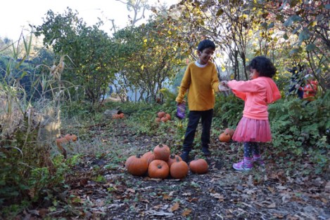 Legoland_Halloween_Pumpkins_Autumn_2018_Brick-or-Treat_4
