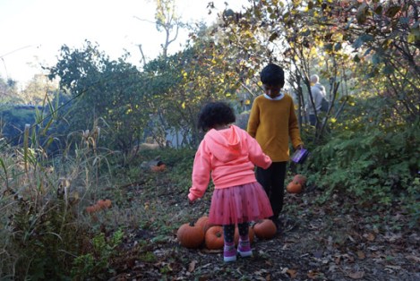 Legoland_Halloween_Pumpkins_Autumn_2018_Brick-or-Treat_6