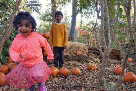 Legoland_Halloween_Pumpkins_Autumn_2018_Brick-or-Treat_8