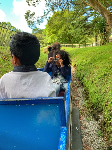 3-Little-Western-Railway-Newquay-Cornwall