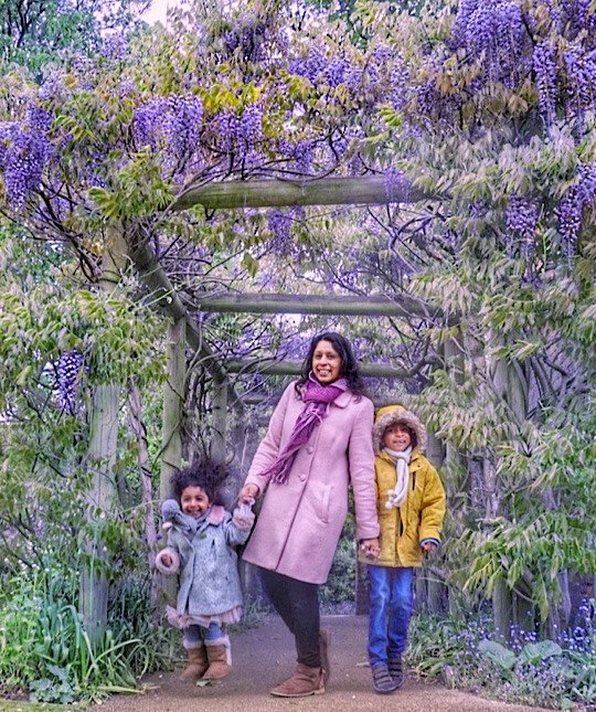 Where and when to see Magnolia, Cherry Blossom, Wisteria, Bluebells and Poppies around Slough