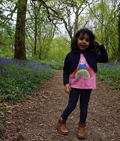 Cocksherd Bluebell Woods, Slough, Berkshire