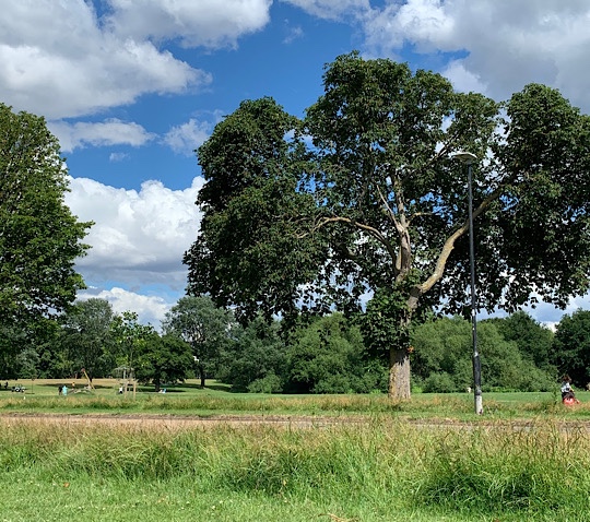 Upton Court Park, Slough, Berkshire
