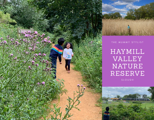 Haymill-Valley-Nature-Reserve-Slough-Berkshire