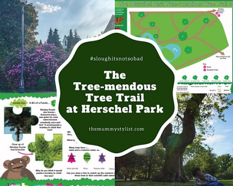 herschel-park-tree-trail-childrens-activity-slough-berkshire
