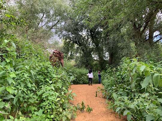 Haymill Valley Nature Reserve, Slough, Berkshire