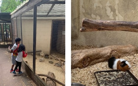 Ray Mill Island, Taplow, Maidenhead, Berkshire