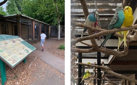 Ray Mill Island, Taplow, Maidenhead, Berkshire