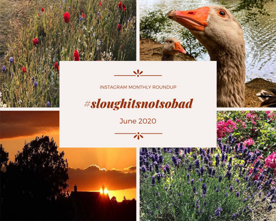 June-2020-Instagram-sloughitsnotsobad