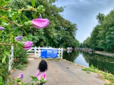 Cowley Lock and Canal Walk