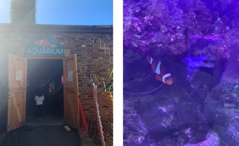 Hanwell Zoo, West London