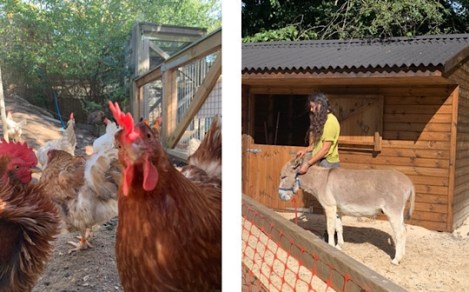 Hanwell Zoo, West London