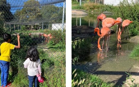 Hanwell Zoo, West London