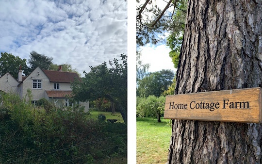 Apple Picking, home cottage farm, Iver