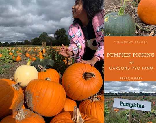 Garsons Farm Pumpkin Picking