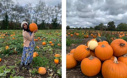 Garsons PYO Pumpkin Picking Farm